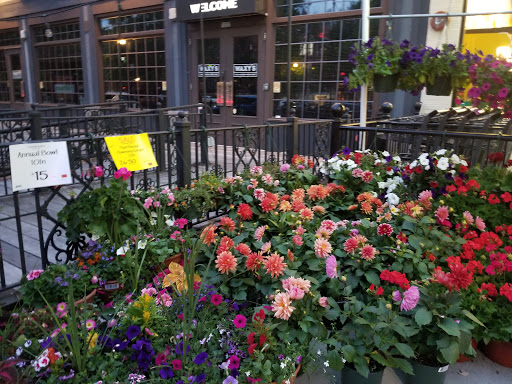 Grocery Store «Whole Foods Market», reviews and photos, 1028 Beacon St, Brookline, MA 02446, USA