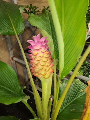 Discount Store «Walmart», reviews and photos, 1001 E Eau Gallie Blvd, Indian Harbour Beach, FL 32937, USA