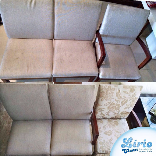 Logo da empresa - Lirio Clean