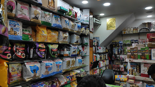 Samaria Pet Shop (dogs & pups for sale in delhi ncr)cat & puppies (dog,pups & cat food wholesaler)