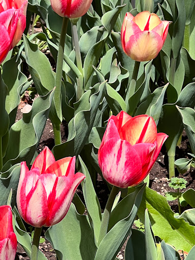 Monument «Light of the World Garden at Ashton Gardens», reviews and photos, 3900 Garden Dr, Lehi, UT 84043, USA