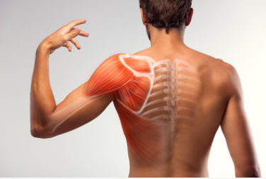CHIROMASSEUR PHYSIOTHÉRAPEUTE - Velasquez à Fleury-les-Aubrais