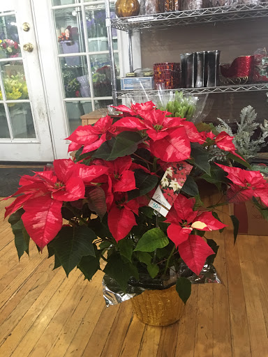 Florist «The Enchanted Cottage», reviews and photos, 611 12300 S, Draper, UT 84020, USA