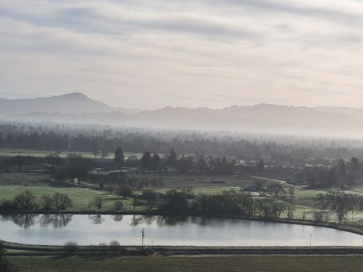 Wine Country Balloons image