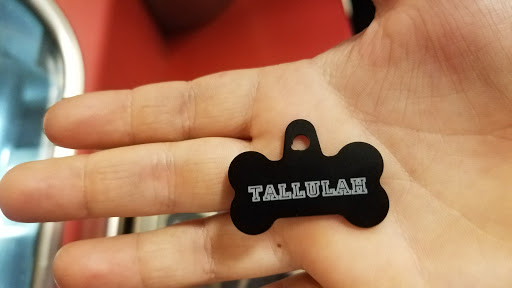 Pet Supply Store «PetSmart», reviews and photos, 7340 W 191st St, Tinley Park, IL 60487, USA