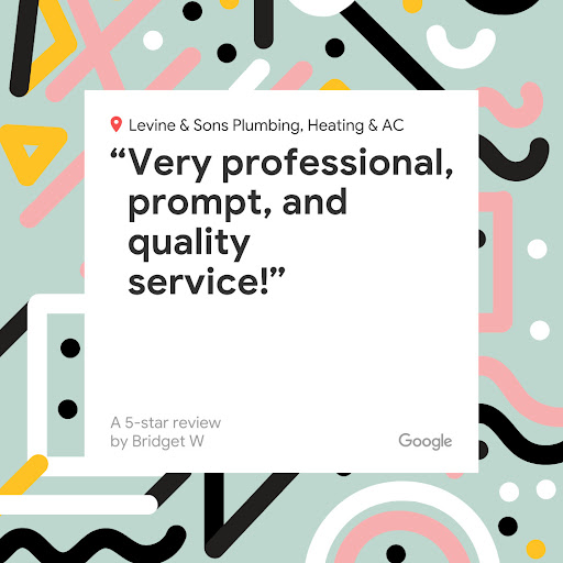 Plumber «Levine & Sons», reviews and photos, 11931 Dixie, Redford Charter Twp, MI 48239, USA