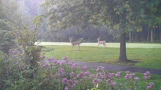 Golf Course «Chemung Hills Golf Club & Banquet Center», reviews and photos, 3125 Golf Club Rd, Howell, MI 48843, USA