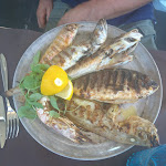 Photo n°2 de l'avis de Marialuisa.i fait le 24/09/2021 à 20:15 sur le  Trattoria Toscana à Marina di Vasto