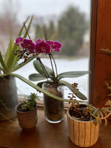 Florist «Flowers By Diane», reviews and photos, 109 2nd St, Hoboken, NJ 07030, USA