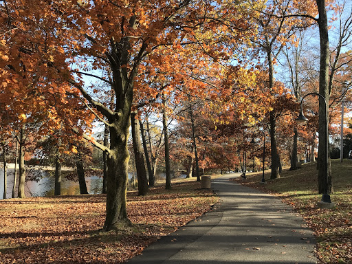 Park «Parks Lake», reviews and photos, Academy St, Rockaway, NJ 07866, USA