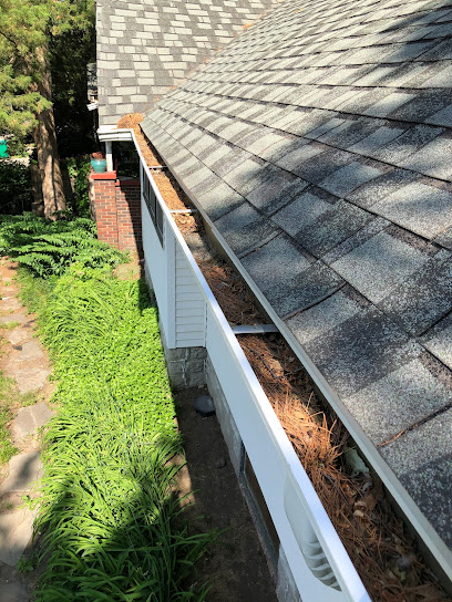 Gutter Cleaning Pros