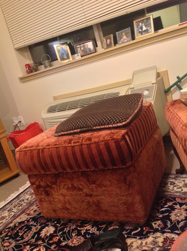 Movie Theater «SIFF Cinema Egyptian», reviews and photos, 805 E Pine St, Seattle, WA 98122, USA