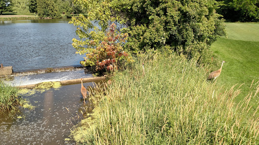 Golf Club «Odana Hills Golf Course», reviews and photos, 4635 Odana Rd, Madison, WI 53711, USA