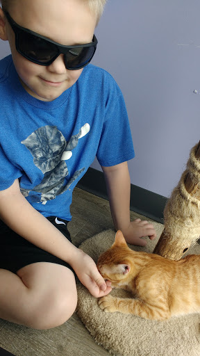 Pet Supply Store «Animal House Pet Supplies», reviews and photos, 733 Phillips Blvd, Sauk City, WI 53583, USA