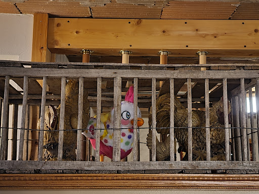 Petco Animal Supplies, 13691 Ridgedale Dr, Minnetonka, MN 55305, USA, 