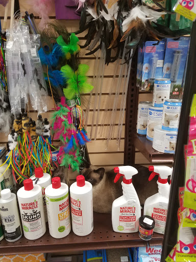 Pet Store «Pet Advantage», reviews and photos, 350 Dorset St # 1, South Burlington, VT 05403, USA