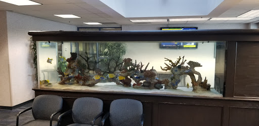 Ford Dealer «Folsom Lake Ford», reviews and photos, 12755 Folsom Blvd, Folsom, CA 95630, USA