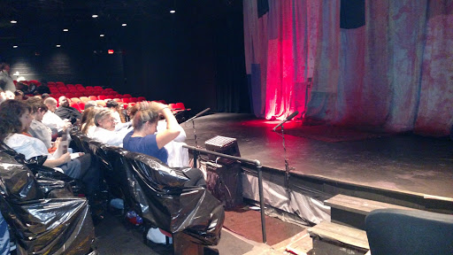 Performing Arts Theater «City Theatre», reviews and photos, 2301 Woodward Ave, Detroit, MI 48201, USA