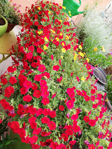 Storage Facility «Extra Space Storage», reviews and photos, 1520 Willow Rd, Menlo Park, CA 94025, USA