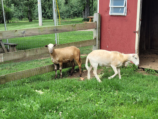 Farm «Sun High Orchards», reviews and photos, 19 Canfield Ave, Randolph, NJ 07869, USA