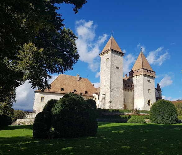 Schloss La Sarraz - Yverdon-les-Bains