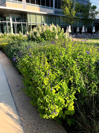 Corporate Office «Cox», reviews and photos, 6305 Peachtree Dunwoody Rd, Atlanta, GA 30328, USA