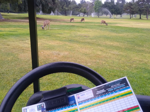 Golf Course «Marshall Canyon Golf Course», reviews and photos, 6100 Stephens Ranch Rd, La Verne, CA 91750, USA