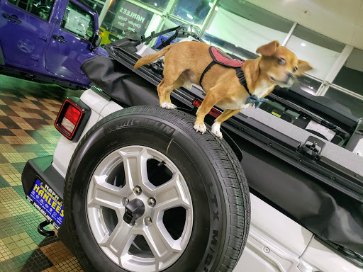 Car Dealer «Hanlees Chrysler Dodge Jeep Ram of Napa», reviews and photos, 333 Soscol Ave, Napa, CA 94559, USA