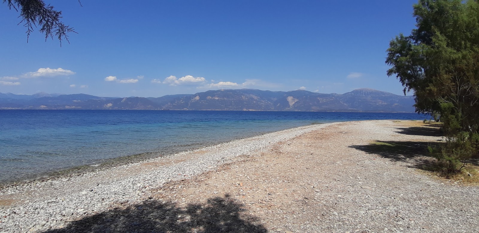 Foinikas beach II'in fotoğrafı çok temiz temizlik seviyesi ile