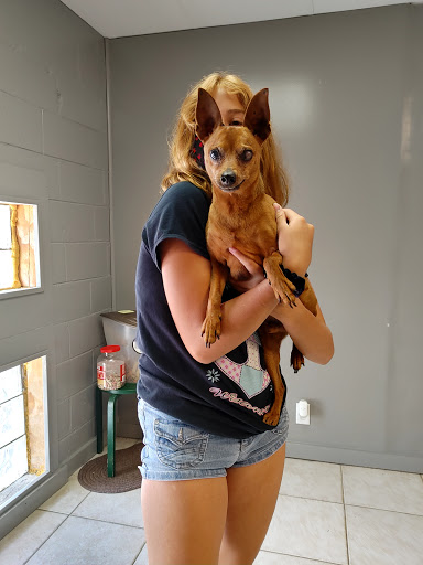 Animal Shelter «South Suburban Humane Society», reviews and photos