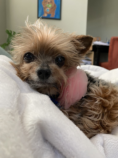 808 Molalla Ave, Oregon City, OR 97045, USA