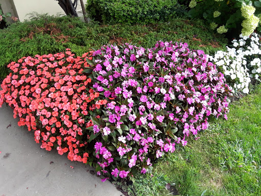 Golf Course «Wind Watch Golf & Country Club», reviews and photos, 1715 Motor Pkwy, Hauppauge, NY 11788, USA