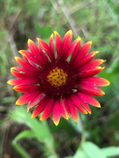 Park «Trophy Club Park», reviews and photos, 2885 Trophy Park Dr, Trophy Club, TX 76262, USA