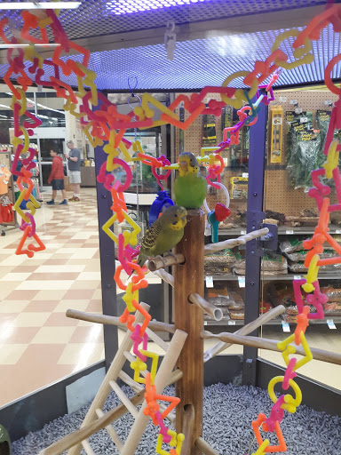 Pet Supply Store «Petco Animal Supplies», reviews and photos, 175 Grandview Blvd #600, Madison, MS 39110, USA