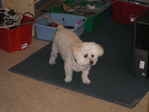 Used Computer Store «Second Source Computer Center», reviews and photos, 2201 Silverside Rd, Wilmington, DE 19810, USA