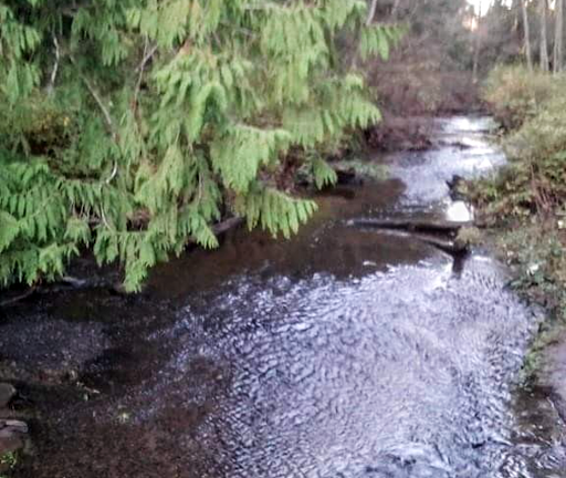 Park «Thornton A. Sullivan Park», reviews and photos, 11405 Silver Lake Rd, Everett, WA 98208, USA