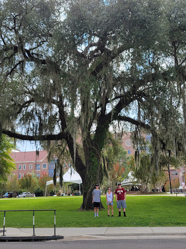 Stadium «Bobby Bowden Field at Doak Campbell Stadium», reviews and photos, 403 Stadium Dr, Tallahassee, FL 32304, USA