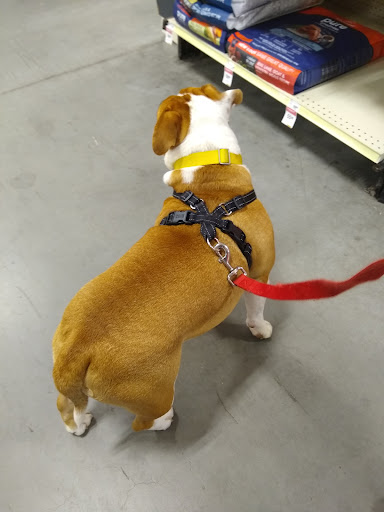 Pet Supply Store «PetSmart», reviews and photos, 4749 Valley View Blvd NW, Roanoke, VA 24012, USA
