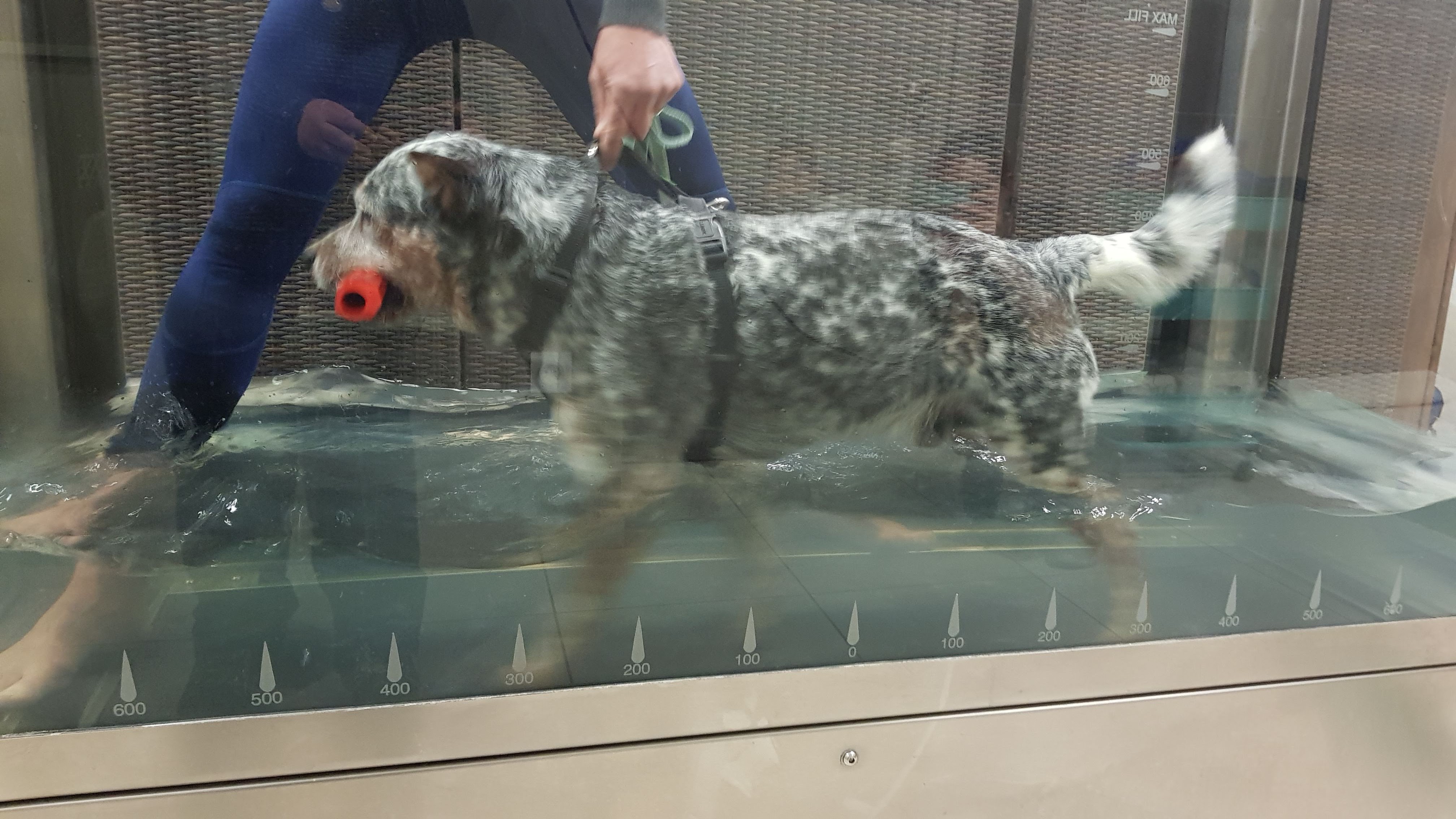 Photo n° 1 de l'avis de Gabrielle.e fait le 16/01/2019 à 18:43