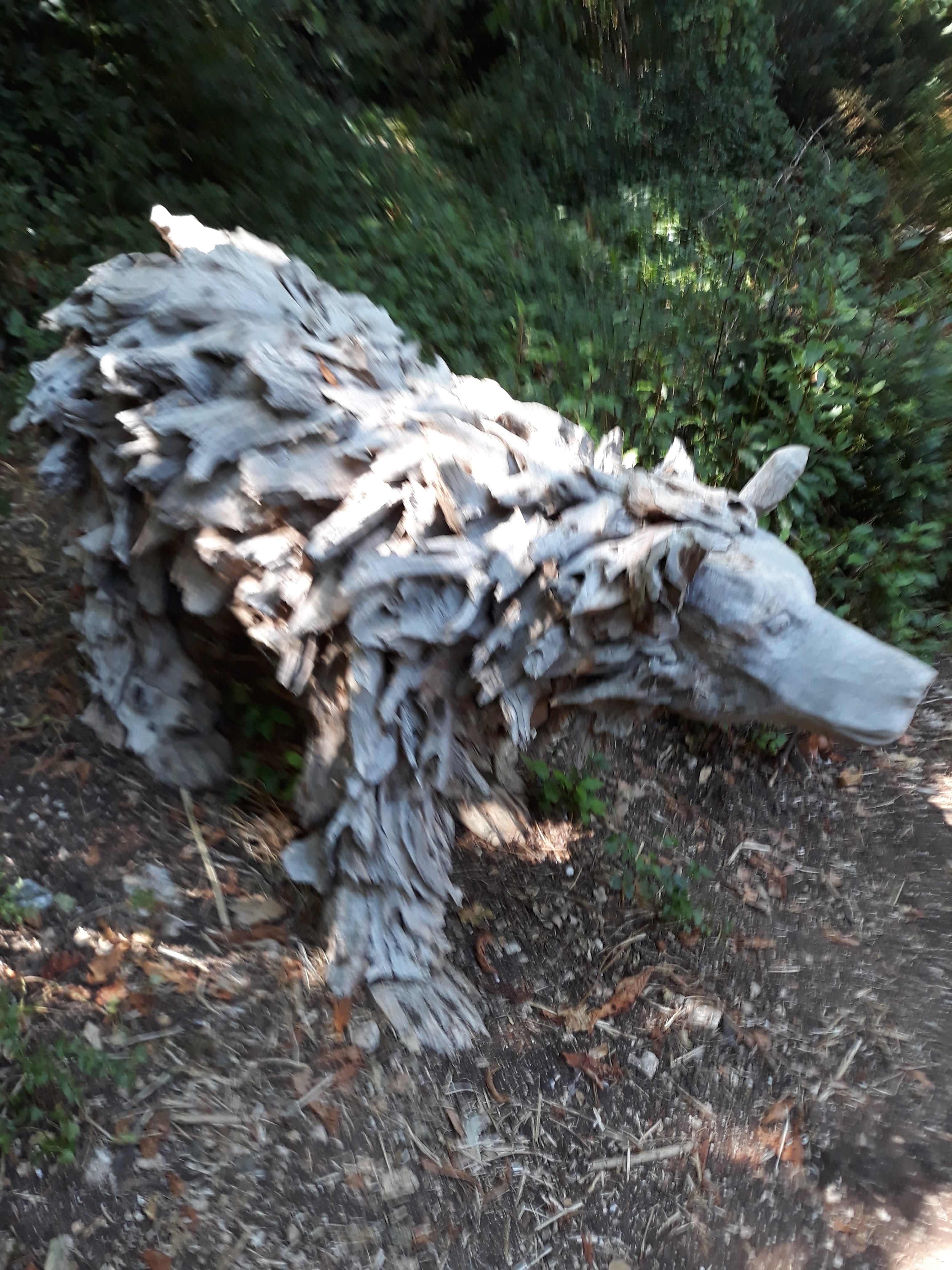Photo n° 3 de l'avis de Ripaux.a fait le 15/08/2018 à 16:29