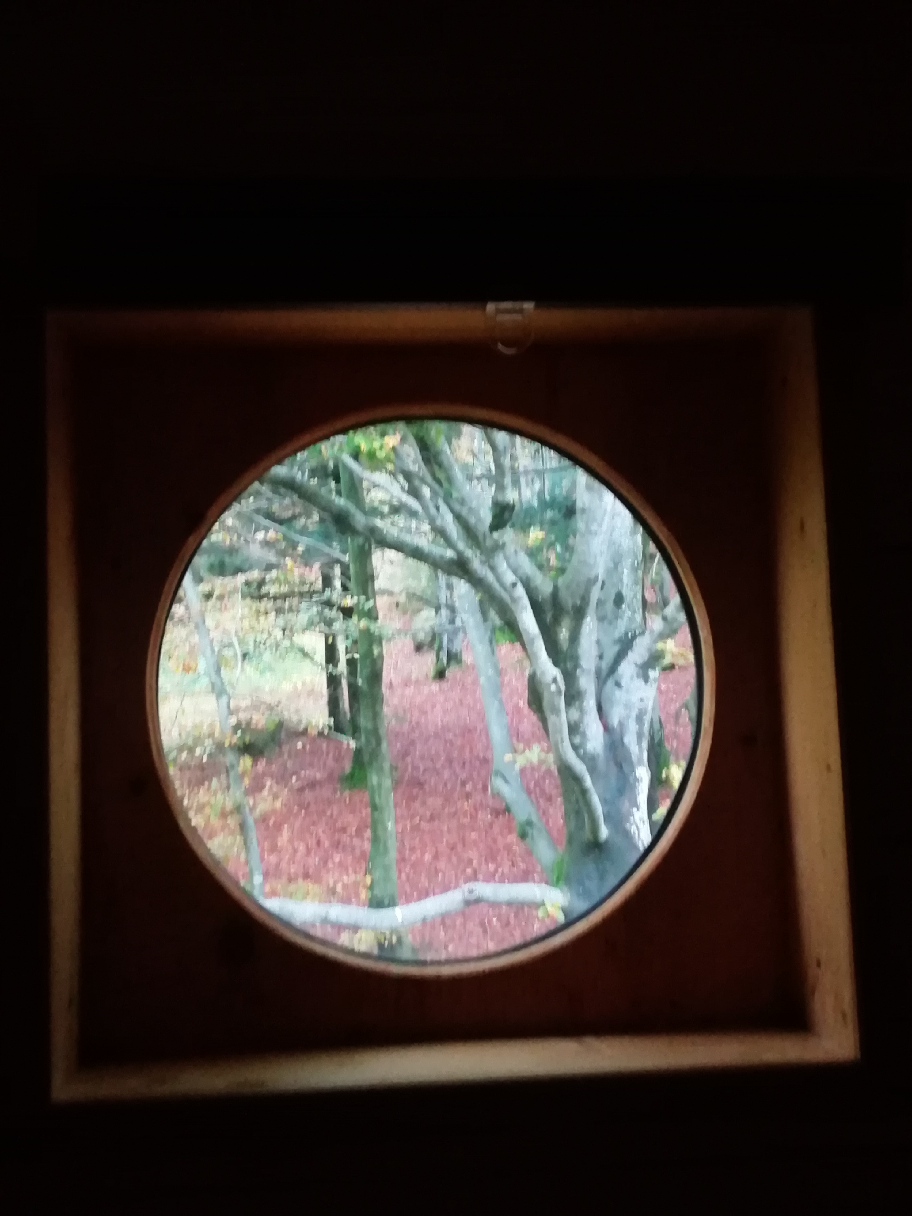 Photo n° 5 de l'avis de Olivier.r fait le 23/10/2019 à 21:57