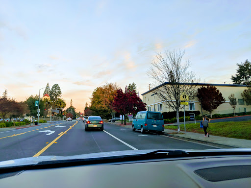 Grocery Store «Safeway», reviews and photos, 406 N Main St, Sebastopol, CA 95472, USA