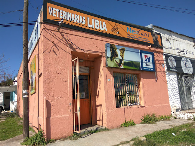 Opiniones de Veterinaria Libia Sucursal en Montevideo - Veterinario
