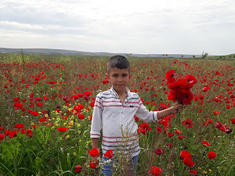 Suruç Anadolu Lisesi