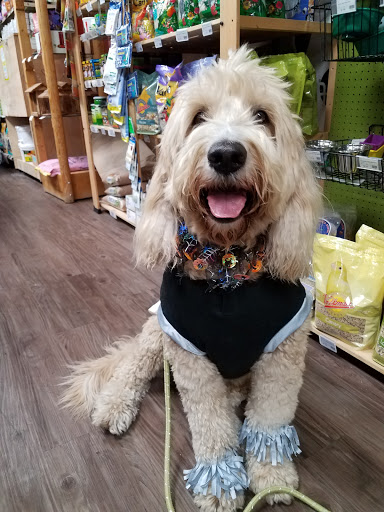 Pet Supply Store «At Your Services Pet Supplies», reviews and photos, 55 S Valle Verde Dr #300, Henderson, NV 89012, USA