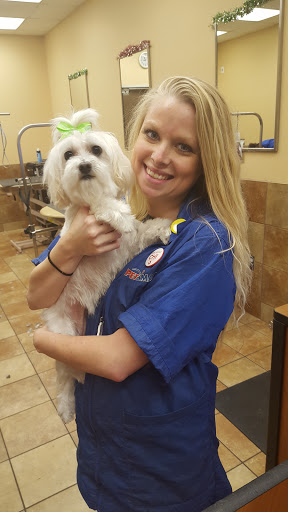 Pet Supply Store «PetSmart», reviews and photos, 225 NW Commons Loop, Lake City, FL 32055, USA