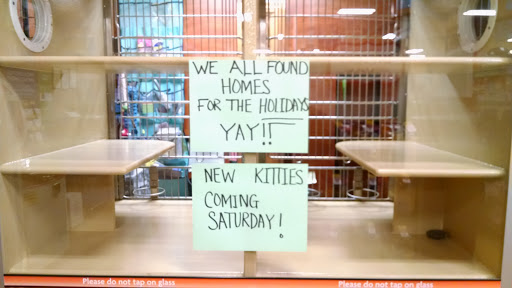 Pet Supply Store «PetSmart», reviews and photos, 131 Town Center Rd, King of Prussia, PA 19406, USA