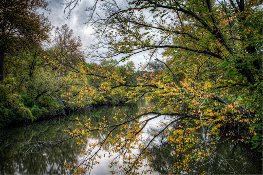 Art Gallery «The Paul Duda Gallery (Tremont)», reviews and photos, 2342 Professor Ave, Cleveland, OH 44113, USA