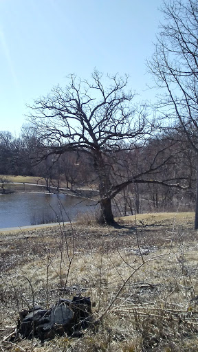 Park «Leo Leathers Park», reviews and photos, Buckingham Rd & Manor Ln, Mundelein, IL 60060, USA