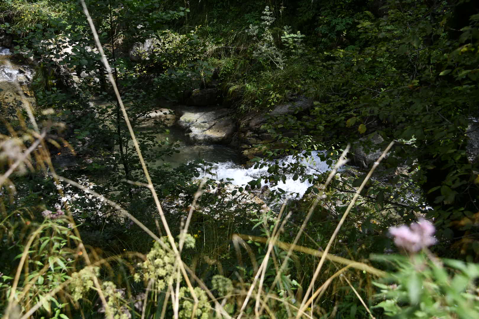 Photo n° 5 de l'avis de Annick.E fait le 08/09/2018 à 05:33